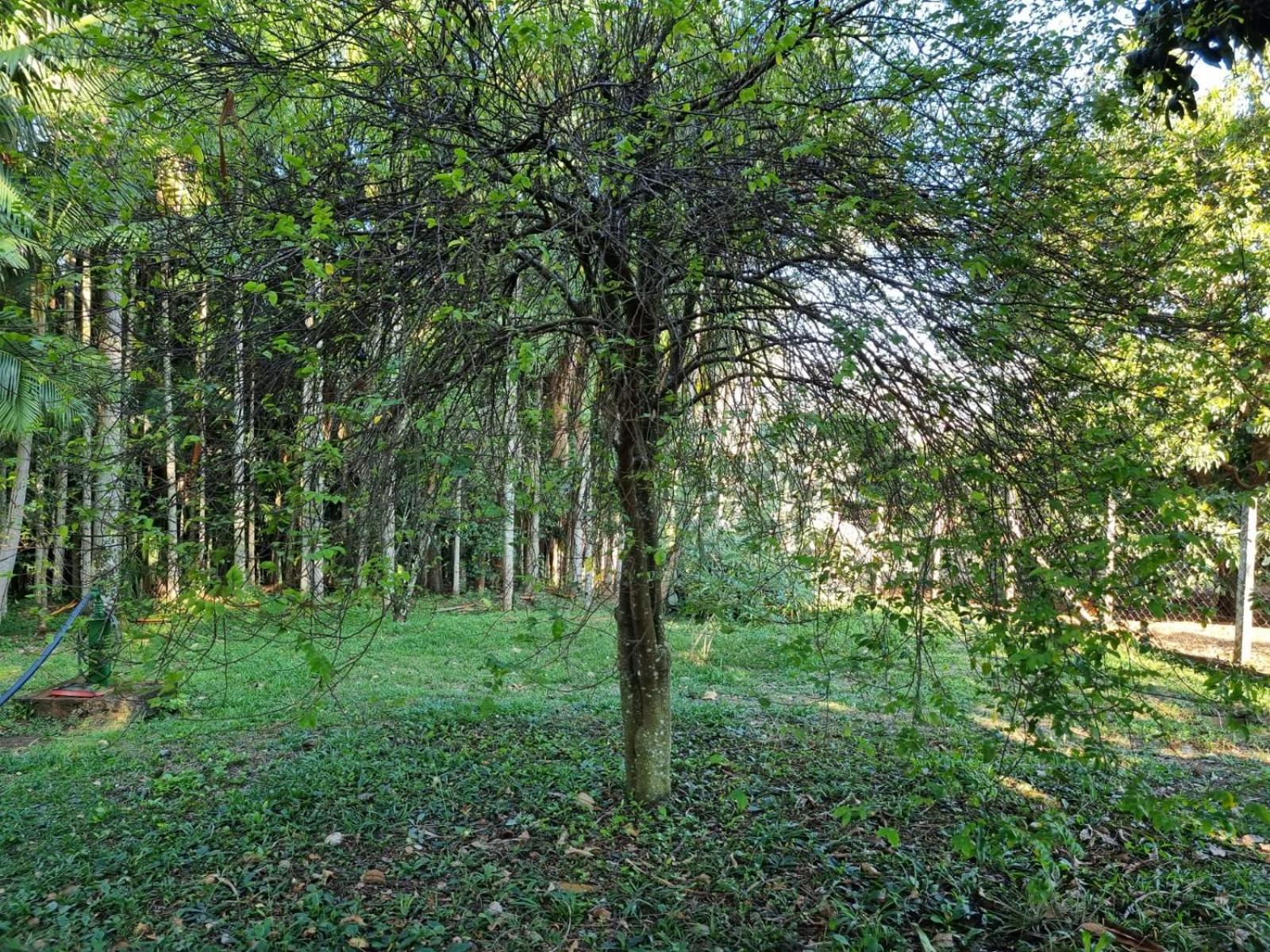 Espaço Contempla Joanópolis Exterior foto